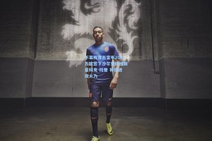 不莱梅官方宣布200万欧签下沙尔克锋线新星科克-托普 补强进攻火力