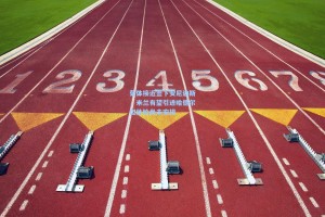 葡体接近签下安尼迪斯，米兰有望引进哈德尔但体检尚未安排